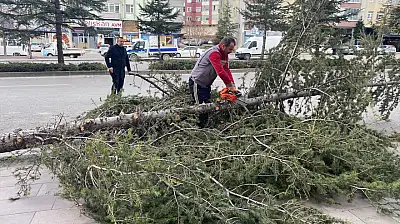 Konya'nın o ilçesinde fırtına nedeniyle okullar tatil edildi! Resmi açıklama geldi