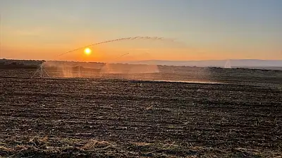 Konya'nın tarımı 'akıllanıyor!' Dijital dönüşüm devri başlıyor!