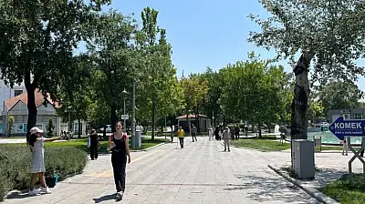 Konya'ya Afrika'dan geliyor! O tarihlere dikkat!