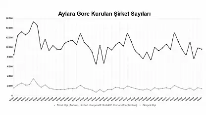 2026'nın ilk 7 ayında kurulan şirket sayısı yüzde 7,4 arttı
