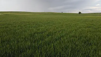 Konya'ya bereket geldi