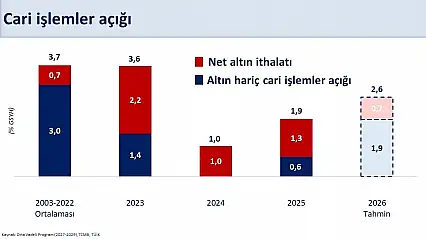 Bakan Şimşek: Ağustos ayında 4,1 milyar dolar cari fazla verdik!