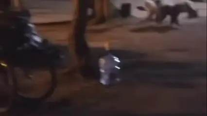 Çadır kuran ailenin yanına aç kalan ayı geldi