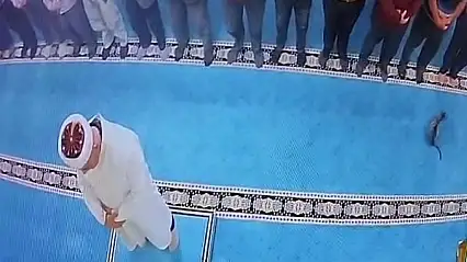 Camide kediyi tekmeleyen şahsa sosyal medyada tepki yağdı