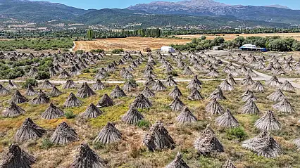 Konya'da 400 kişiye gelir kapısı oldu: Dünya pazarında boy gösteriyor!