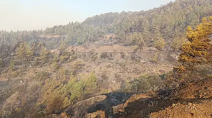 Kumluca'daki orman yangını kısmen kontrol altına alındı