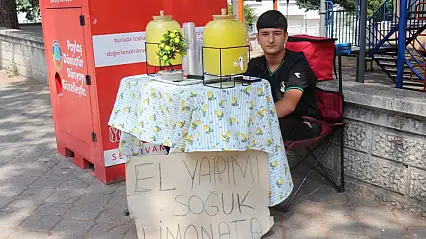 Limonata satarak asgari ücretin üç katı kazandı