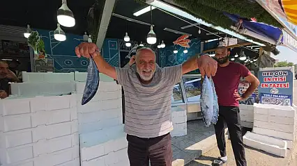 Palamut tezgaha indi, vatandaş sıraya girdi