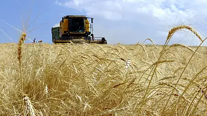 Tarım ÜFE ocakta aylık bazda arttı