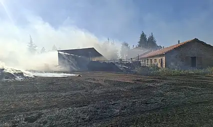 Konya'da çıkan anız yangınları paniğe neden oldu