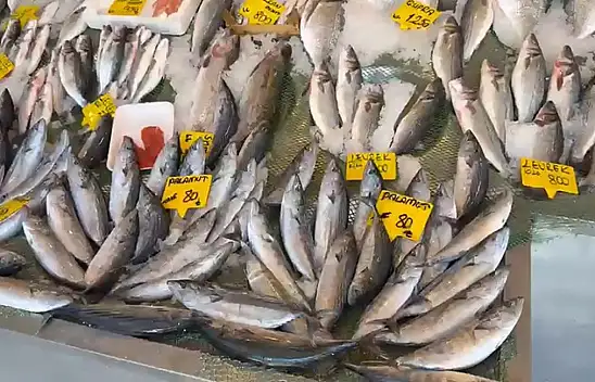 25 sene önceki bolluk sevindirdi: Balık yiyin çağrısı geldi!