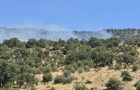 AKOM, Konya'daki yangında son durumu açıkladı: 55 personel müdahale ediyor!
