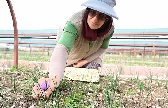 Başkan Altay müjdeyi verdi: Çiftçimize alternatif gelir kapısı açıyoruz!