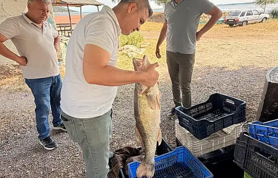 Beyşehir Gölü'nde sıkı denetim! Balıklar tek tek kontrol edildi