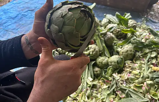 Bunu yaparak ayda 240 bin lira kazanıyor! Konya'da da olsa dedirtti...