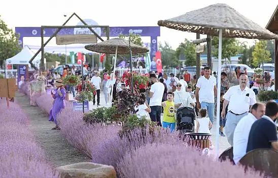 Fotoğraf tutkunları buraya! 'Karatay Lavanta Günleri' başlıyor! O tarihlere dikkat...