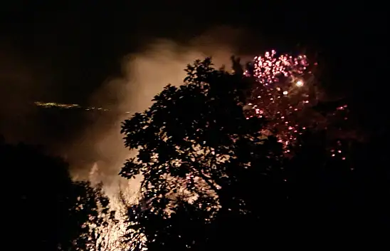Gece saatlerinde çıkan orman yangını korkuttu!