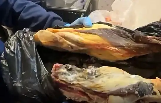 Halkın sağlığıyla oynamışlar: 170 kilo bozuk et ve çürük yumurta imha edildi!