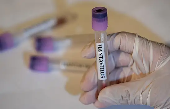 Hantavirüs görülen gemideki 3 Türk Türkiye'ye geliyor