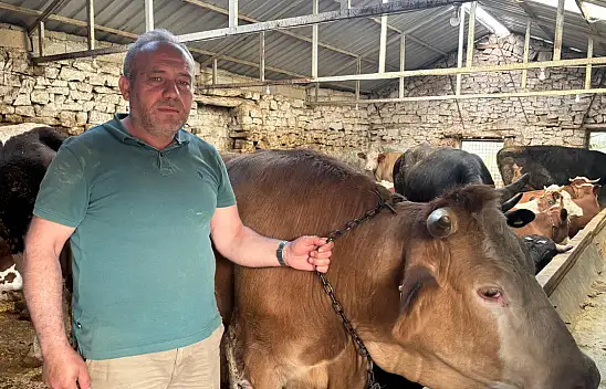 'İki diş' kuralını bilmeyen yandı! Kurbanlık seçerken yapılan hayati 3 hata!