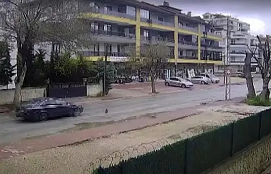 İzleyenlerin boğazı düğümlendi! Yavrusu hiç ayrılmadı, sürücü basıp gitti!