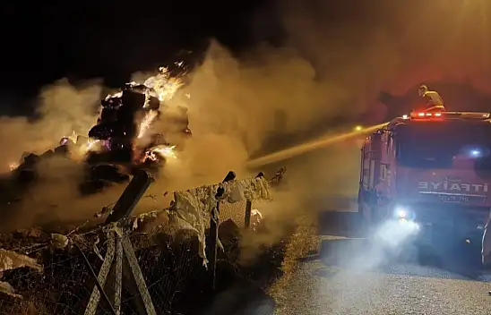 Karapınar'da 10 ton saman balyası alevlere teslim oldu!
