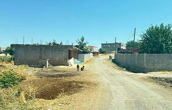 Kedinin ısırdığı çocuk entübe edildi, testlerde kuduz çıktı