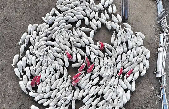 Konya Büyükşehir'den dev hizmet! 31 ilçede köy köy gezilerek ücretsiz destek veriliyor