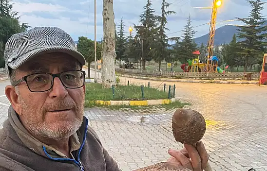 Konya'da arazide mantar arıyordu! Karşısına çıkan dev mantar şaşkına çevirdi