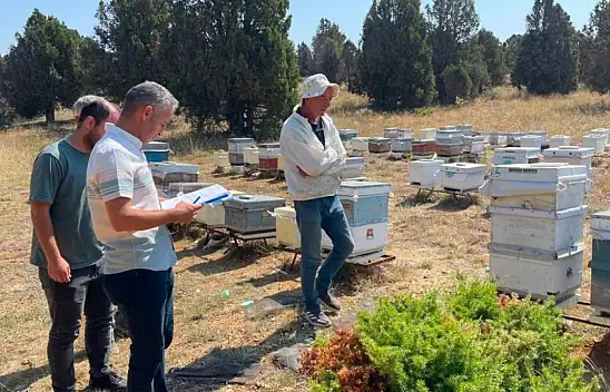 Konya'da arılı kovanlar sayıldı, sektörün sorunları dinlendi