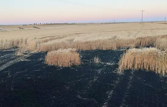 Konya'da arpa ekili tarla alev alev yandı