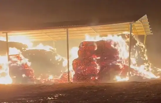 Konya'da çıkan rüzgar çiftlikte yangına sebep oldu