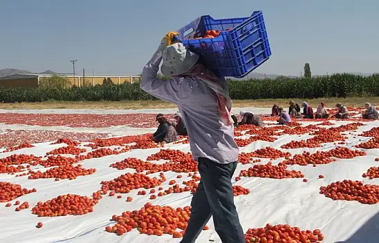Konya'da eğitim yılında korkunç tablo: 3 çocuk iş başında can verdi!
