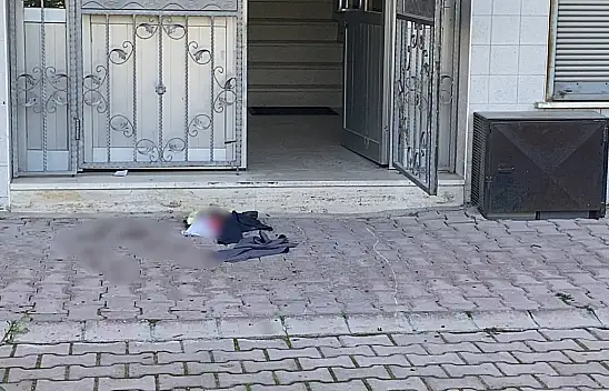 Konya'da kedi tüyü yüzünden komşusunu yüzünden bıçakladı! 2 yaralı...