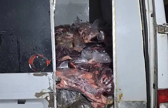 Konya'da kesildi, Ramazanda sofralara gelecekti! Skandal sevkiyatta 3 ton imha edildi!