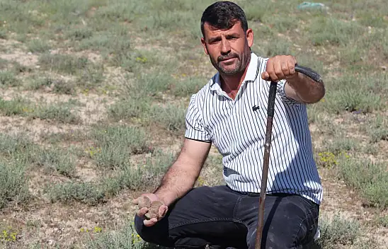Konya'da mantardan gelen servet! Önce ev ve araba sonra arsa aldı!