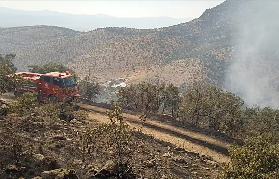 Konya'da ormanlık alanda çıkan yangın söndürüldü
