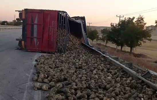 Konya'da pancar yüklü tır devrildi! 1 yaralı