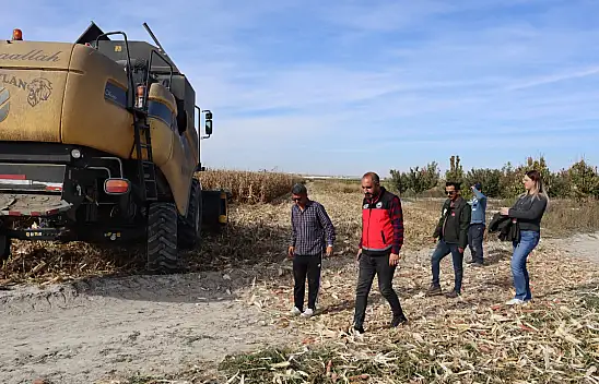 Konya'da tarlada sıkı denetim: Mısır hasadında ürün kaybına geçit yok!