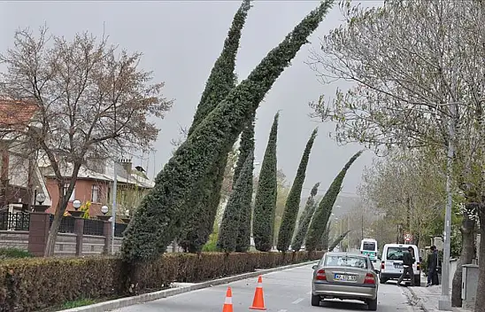 Konya'da yaz ortasında sonbahar serinliği! Rüzgar kuvvetini artıracak!