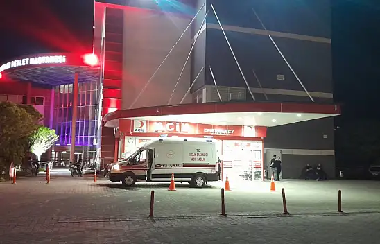 Konya'da yola çıkan köpek faciaya neden oldu! 4 kişi hastanelik oldu