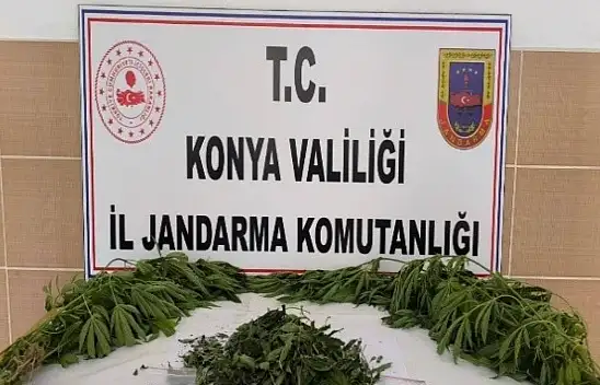 Konya'da zehir şebekesine darbe! 14 kişi tutuklandı
