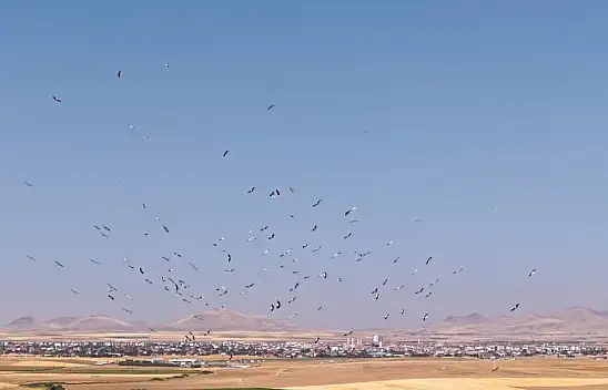 Konya'daki Düden Gölü'nde büyüleyen görüntü!