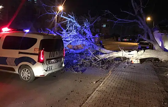 Konya'daki fırtına hayatı olumsuz etkiliyor!