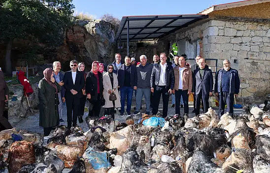 Konya'nın kadim ve bereketli geleneği! Peynirler mağaradan çıktı