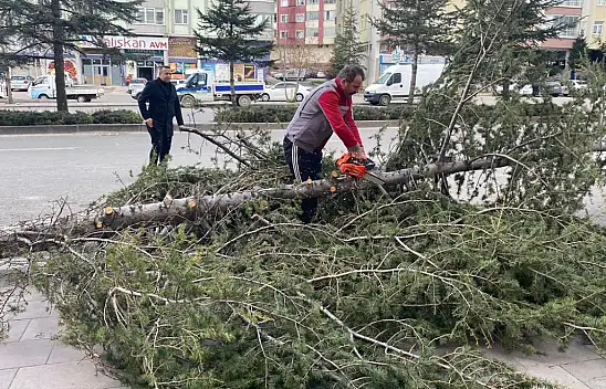 Konya'nın o ilçesinde fırtına nedeniyle okullar tatil edildi! Resmi açıklama geldi