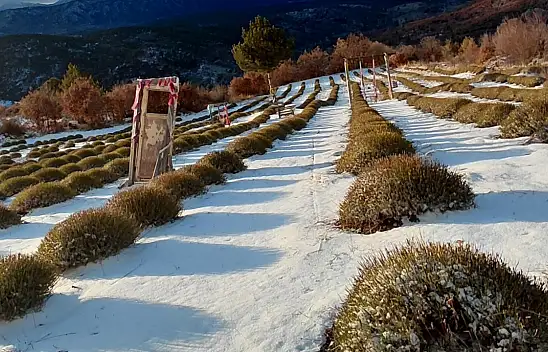 Konya'nın o ilçesine yağan kar çiftçiye umut oldu!