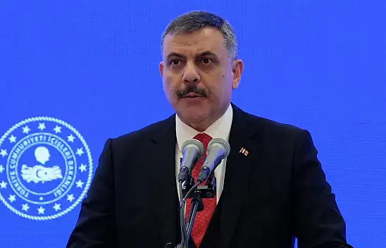 Konyalı Bakan, sokak köpekleri için talimat verdi! 'Yılbaşına kadar hepsi barınaklara alınacak!'