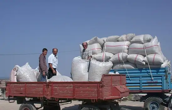 Konyalı üreticiler dikkat! Bu hatayı yapan kapıdan dönecek