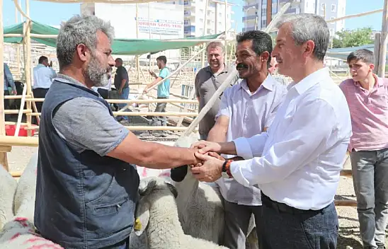 Kurbanlıklar görücüye çıkıyor! İşte Konya'daki kurban satış ve kesim yerleri